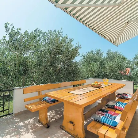 Activity In Kakma Tatil Evi *