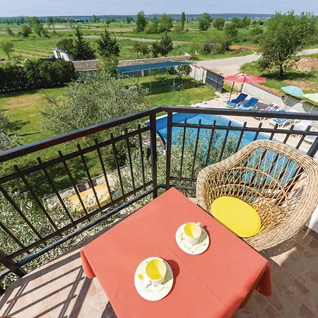 Activity In Kakma Polaca