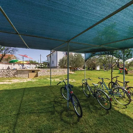 Activity In Kakma Tatil Evi Polaca