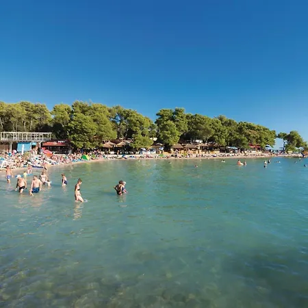 Activity In Kakma Polaca