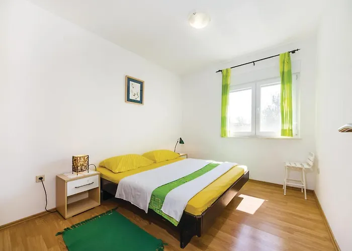 Activity In Kakma Polaca