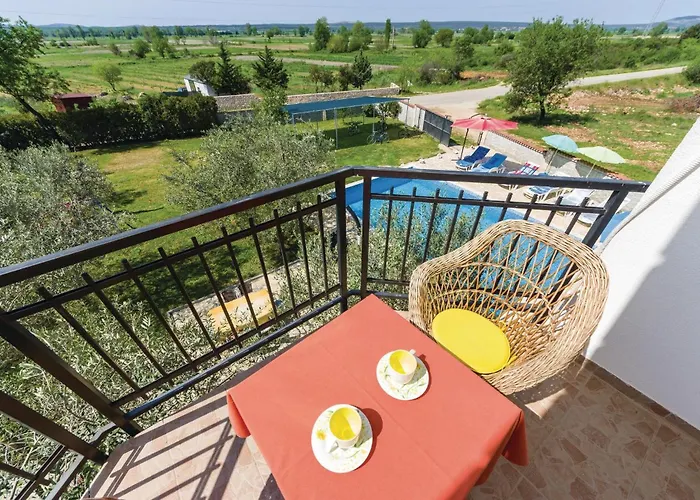 Activity In Kakma Polaca