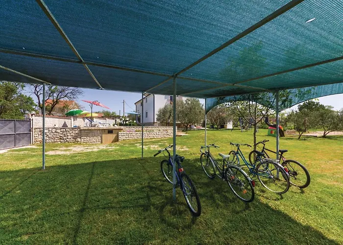 Activity In Kakma Semesterbostad Polaca