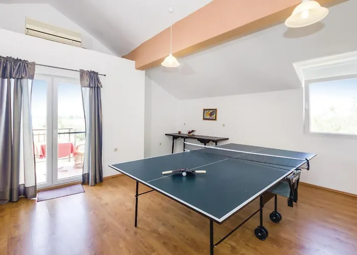 Activity In Kakma Vakantiehuis Polaca